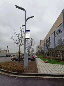 Intelligent street lamp and Pole