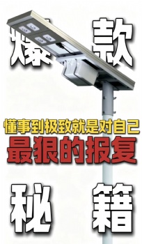 GYS-AT800 ALL IN ON SOLAR STREET LIGHT